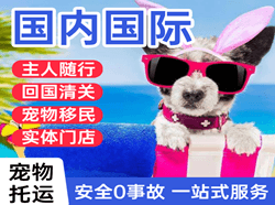 江北机场快递国际宠物托运 【国